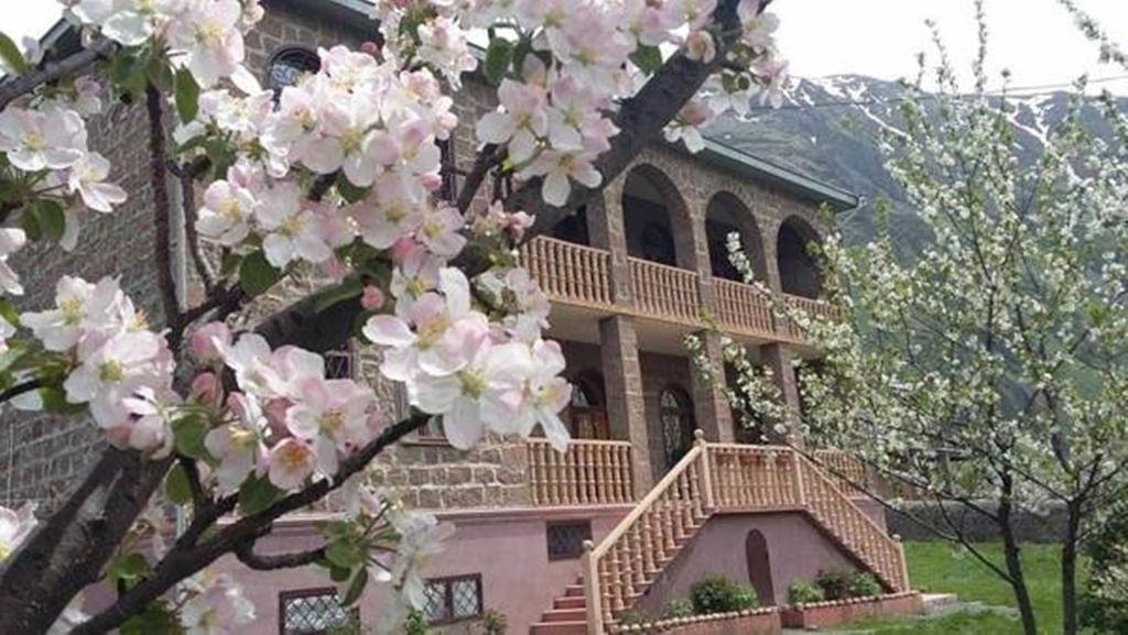 Max Hotel Gogi Alibegashvili Kazbegi Eksteriør bilde