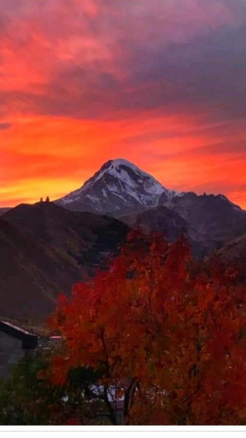 Max Hotel Gogi Alibegashvili Kazbegi Eksteriør bilde