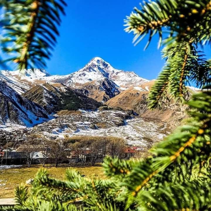 Max Hotel Gogi Alibegashvili Kazbegi Eksteriør bilde